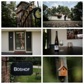 Boshof 8, parel op de Veluwe!